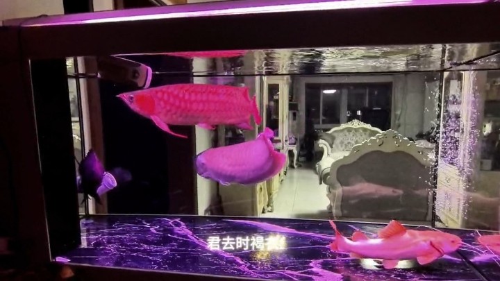 好久沒(méi)來(lái)這里
