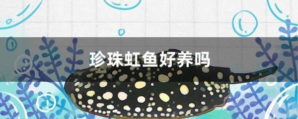 魟魚適宜溫度：魟魚適宜水溫范圍 魟魚適宜溫度：魟魚適宜水溫范圍 魟魚百科 第2張