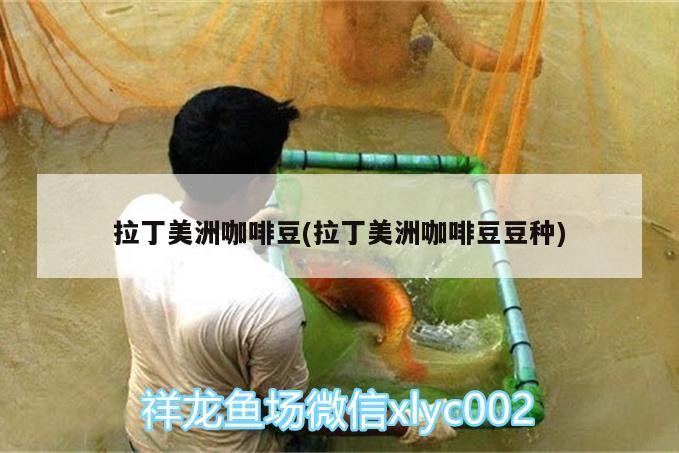 拉丁美洲咖啡豆(拉丁美洲咖啡豆豆種) 拉丁美洲咖啡豆(拉丁美洲咖啡豆豆種) 馬來西亞咖啡