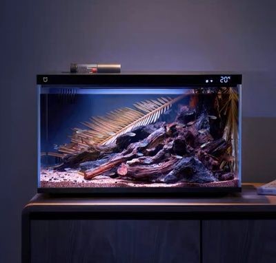 30的魚(yú)缸過(guò)濾器用什么最好：30升的魚(yú)缸過(guò)濾器怎么選 30的魚(yú)缸過(guò)濾器用什么最好：30升的魚(yú)缸過(guò)濾器怎么選 魚(yú)缸百科 第1張