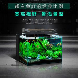 30的魚(yú)缸過(guò)濾器用什么最好：30升的魚(yú)缸過(guò)濾器怎么選 30的魚(yú)缸過(guò)濾器用什么最好：30升的魚(yú)缸過(guò)濾器怎么選 魚(yú)缸百科 第3張