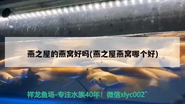 寧鄉鑫揚日用品店