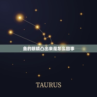 魚缸過濾器選購指南:自制魚缸過濾器魚缸上置過濾器對于養魚愛好者的必備知識 魚缸濾材怎么放在水里的(魚缸濾材怎么放在水里的圖片) 觀賞魚百科 魚缸濾材怎么放在水里的(魚缸濾材怎么放在水里的圖片) 魚缸濾材怎么放在水里的(魚缸濾材怎么放在水里的圖片) 觀賞魚百科