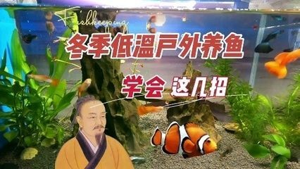 龍魚吃不吃小魚仔