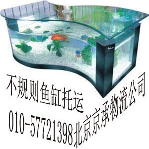 觀賞魚快遞（觀賞魚養護與疾病防治）