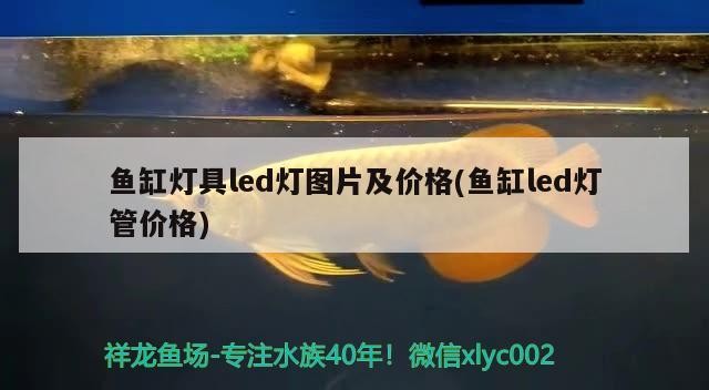 魚缸燈具led燈圖片及價(jià)格(魚缸led燈管價(jià)格)