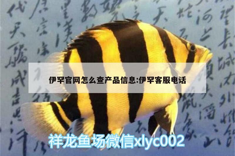 伊罕官網怎么查產品信息:伊罕客服電話