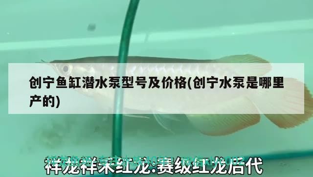 創寧魚缸潛水泵型號及價格(創寧水泵是哪里產的)