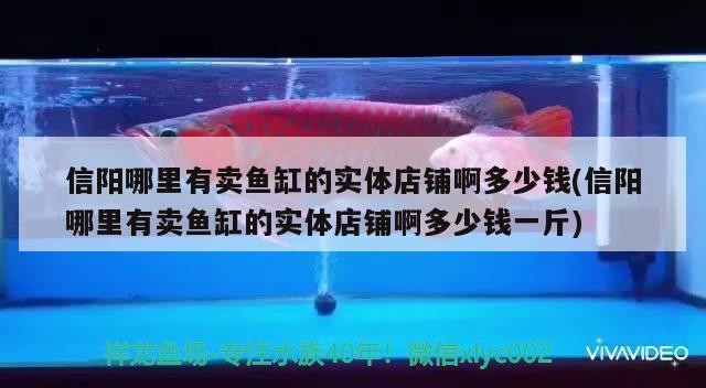 魚缸用增氧泵價格是多少:魚缸增氧機(jī)-xtrac增氧機(jī)-xtrac增氧機(jī) 信陽哪里有賣魚缸的實體店鋪啊多少錢(信陽哪里有賣魚缸的實體店鋪啊多少錢一斤) iwish愛唯希品牌魚缸 信陽哪里有賣魚缸的實體店鋪啊多少錢(信陽哪里有賣魚缸的實體店鋪啊多少錢一斤) 信陽哪里有賣魚缸的實體店鋪啊多少錢(信陽哪里有賣魚缸的實體店鋪啊多少錢一斤) iwish愛唯希品牌魚缸