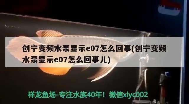 創寧變頻水泵顯示e07怎么回事(創寧變頻水泵顯示e07怎么回事兒)