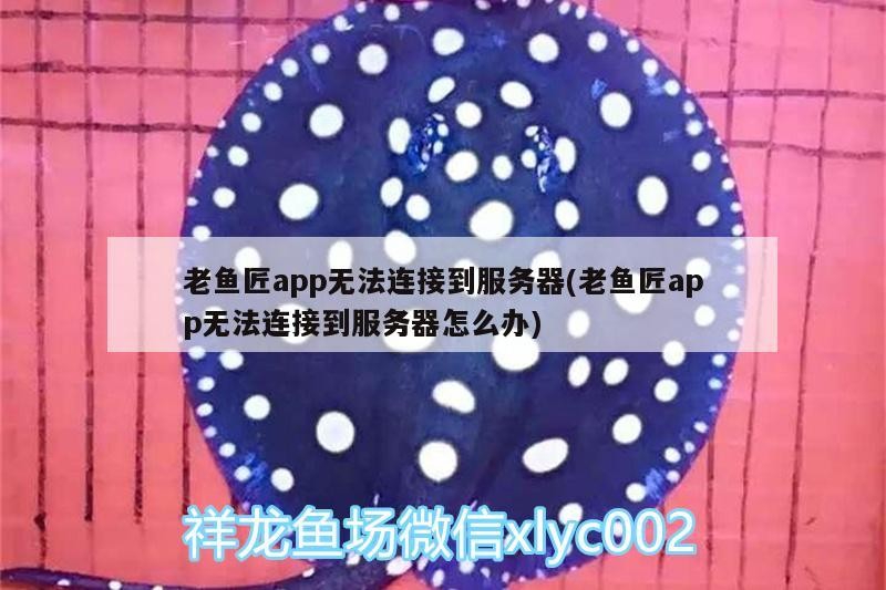 老魚匠app無法連接到服務器(老魚匠app無法連接到服務器怎么辦) 老魚匠app無法連接到服務器(老魚匠app無法連接到服務器怎么辦) 老魚匠