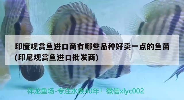長垣縣釣友漁具店 長垣縣釣友漁具店 全國水族館企業名錄 第2張