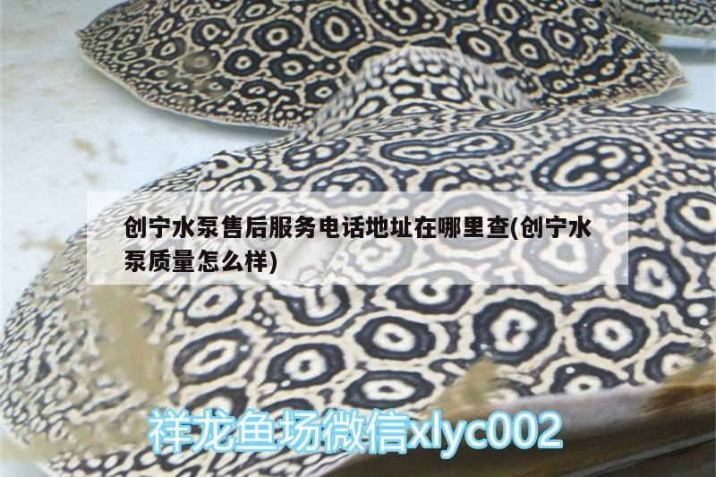 創(chuàng)寧水泵售后服務(wù)電話地址在哪里查(創(chuàng)寧水泵質(zhì)量怎么樣)