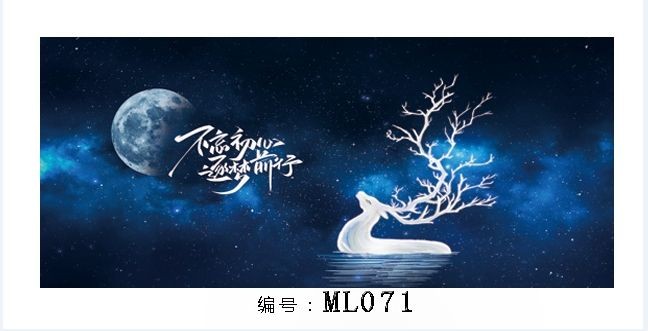 鄭州市二七區(qū)康樂(lè)觀賞魚店