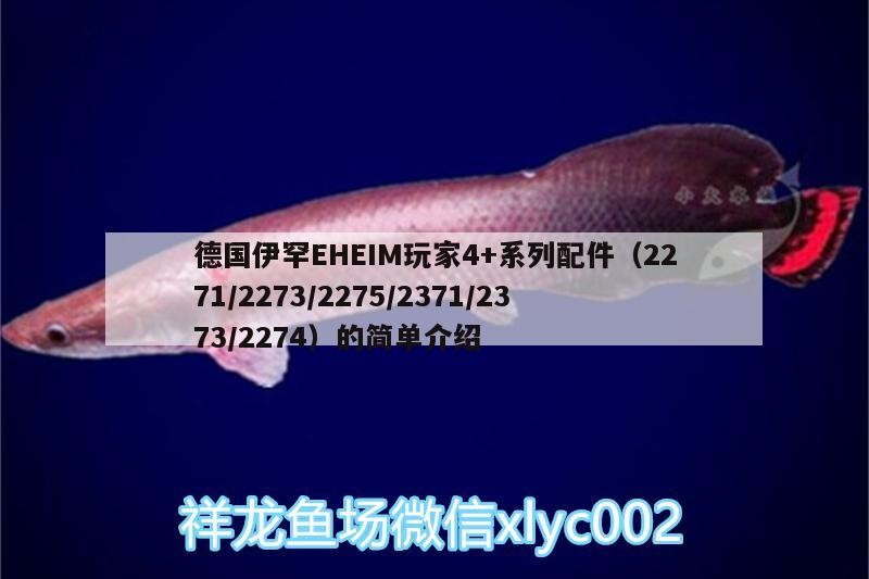 德國(guó)伊罕EHEIM玩家4+系列配件（2271/2273/2275/2371/2373/2274）的簡(jiǎn)單介紹 德國(guó)伊罕EHEIM玩家4+系列配件（2271/2273/2275/2371/2373/2274）的簡(jiǎn)單介紹 伊罕水族