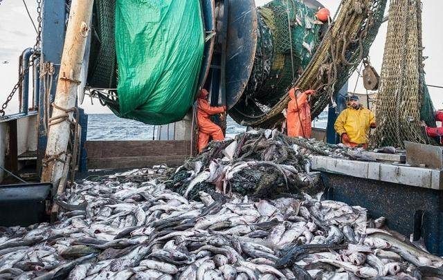 2.秘魯漁場的形成原因是什么？：世界上著名的秘魯漁場的形成原理漁場的形成原理是什么
