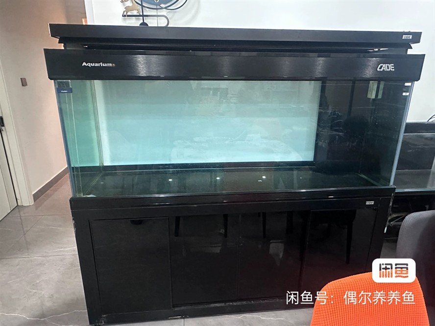 收個彩蝶魚缸
