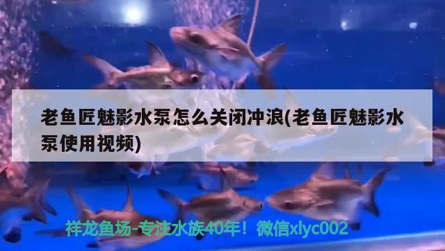 老魚匠魅影水泵怎么關閉沖浪(老魚匠魅影水泵使用視頻)
