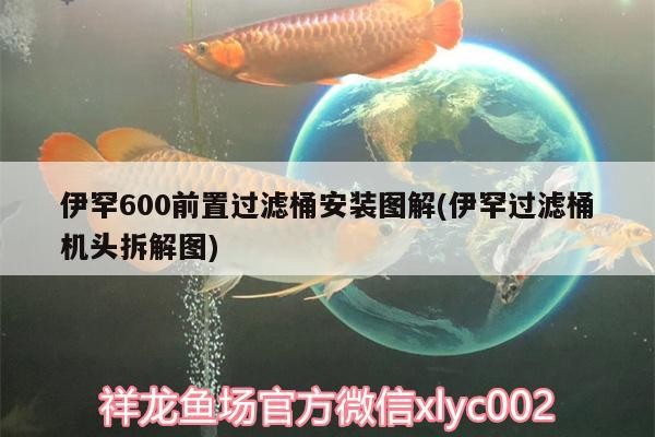 伊罕600前置過濾桶安裝圖解(伊罕過濾桶機頭拆解圖)