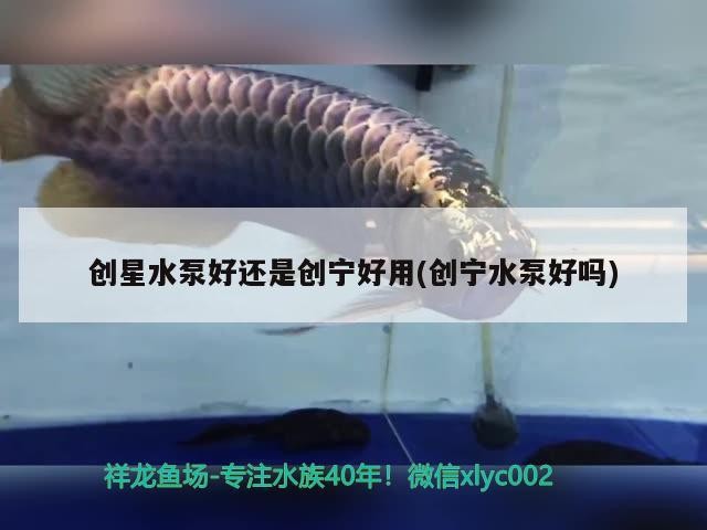 創星水泵好還是創寧好用(創寧水泵好嗎) 創星水泵好還是創寧好用(創寧水泵好嗎) 創寧水族