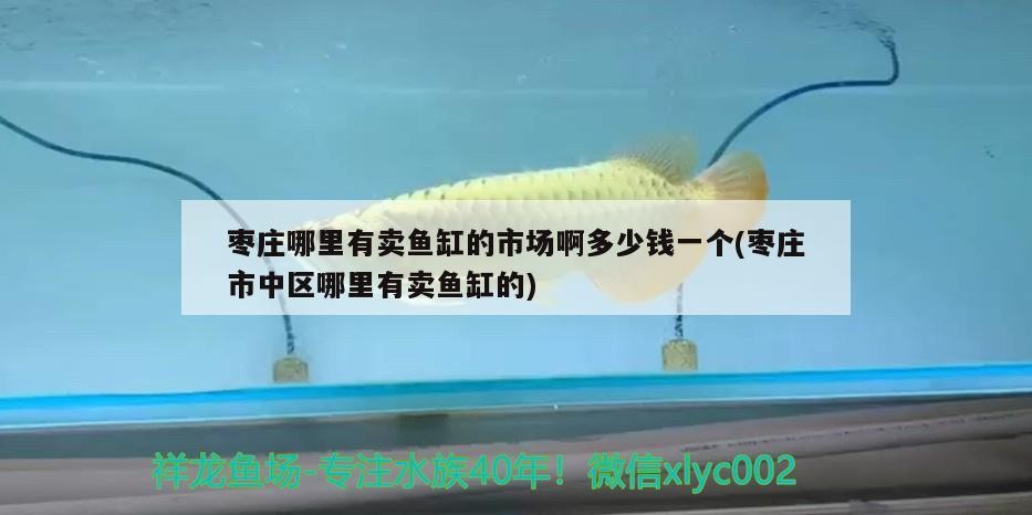 棗莊哪里有賣魚缸的市場啊多少錢一個(棗莊市中區哪里有賣魚缸的)