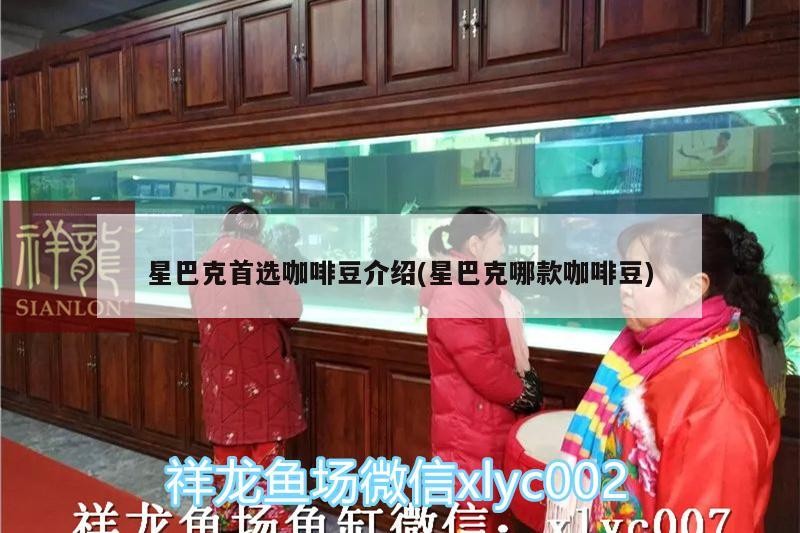 星巴克首選咖啡豆介紹(星巴克哪款咖啡豆) 星巴克首選咖啡豆介紹(星巴克哪款咖啡豆) 馬來西亞咖啡