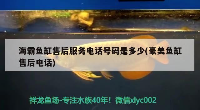 海霸魚缸售后服務電話號碼是多少(豪美魚缸售后電話)