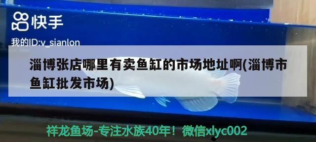 淄博張店哪里有賣魚缸的市場地址啊(淄博市魚缸批發(fā)市場)