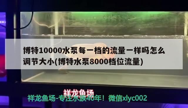 博特10000水泵每一檔的流量一樣嗎怎么調節大小(博特水泵8000檔位流量)