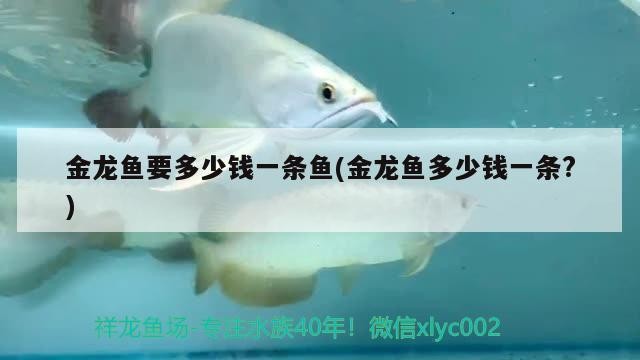 博特水泵變頻器（博特變頻水泵怎么樣） 博特水泵變頻器（博特變頻水泵怎么樣） 博特水族 第1張