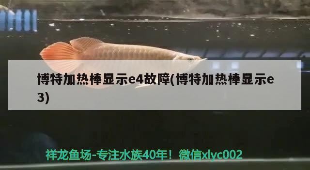 魚缸用增氧泵價格是多少:魚缸增氧機-xtrac增氧機-xtrac增氧機 博特加熱棒顯示e4故障(博特加熱棒顯示e3) 博特水族 博特加熱棒顯示e4故障(博特加熱棒顯示e3) 博特加熱棒顯示e4故障(博特加熱棒顯示e3) 博特水族