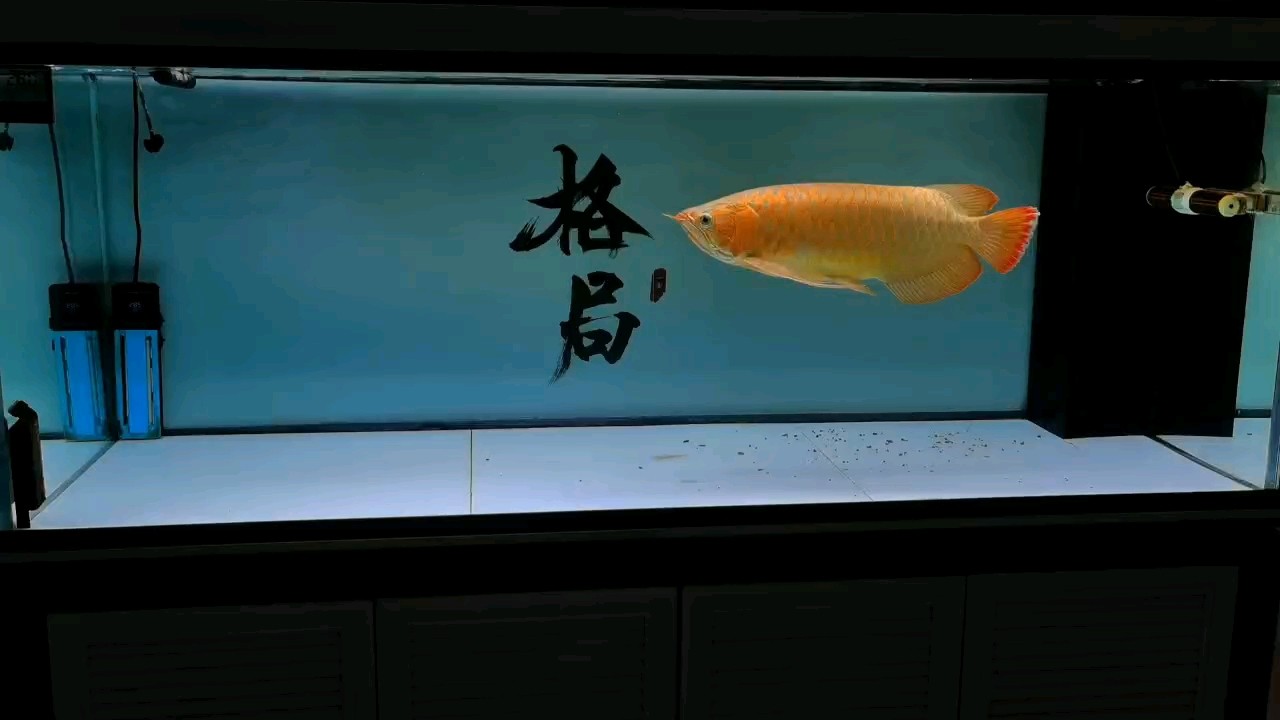 成長記錄