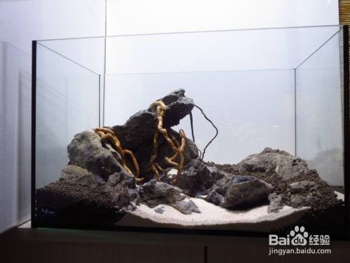 創寧加熱棒哪個型號最好最安全的（創寧加熱棒哪個型號最好最安全的呢）