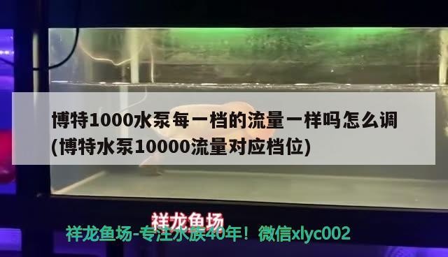 博特1000水泵每一檔的流量一樣嗎怎么調(diào)(博特水泵10000流量對(duì)應(yīng)檔位)