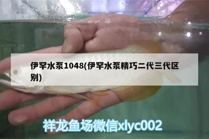 伊罕水泵1048(伊罕水泵精巧二代三代區別)