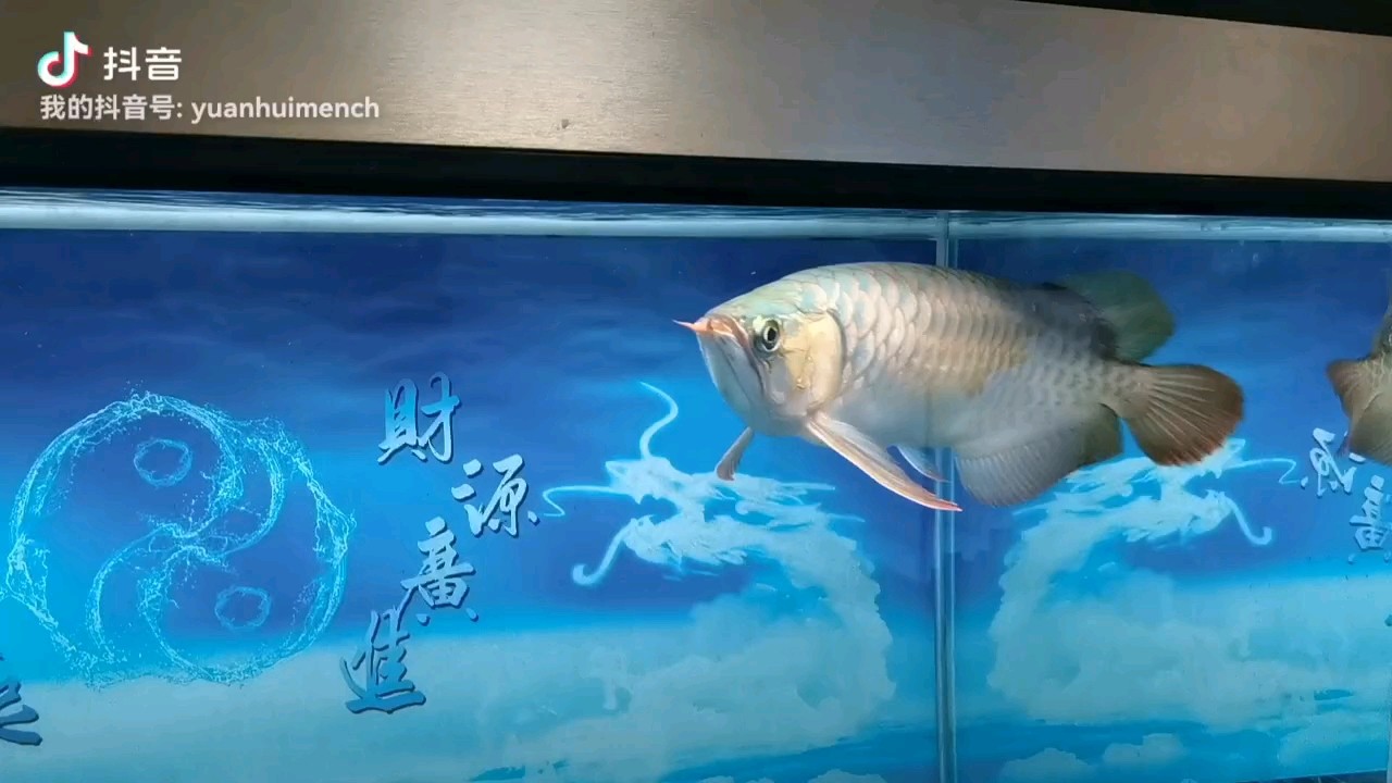 兜嘴嚴重