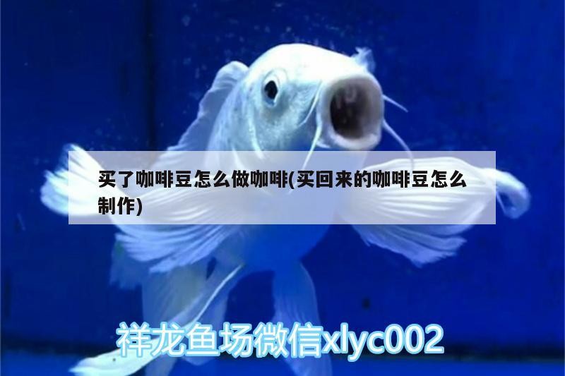 買了咖啡豆怎么做咖啡(買回來的咖啡豆怎么制作)