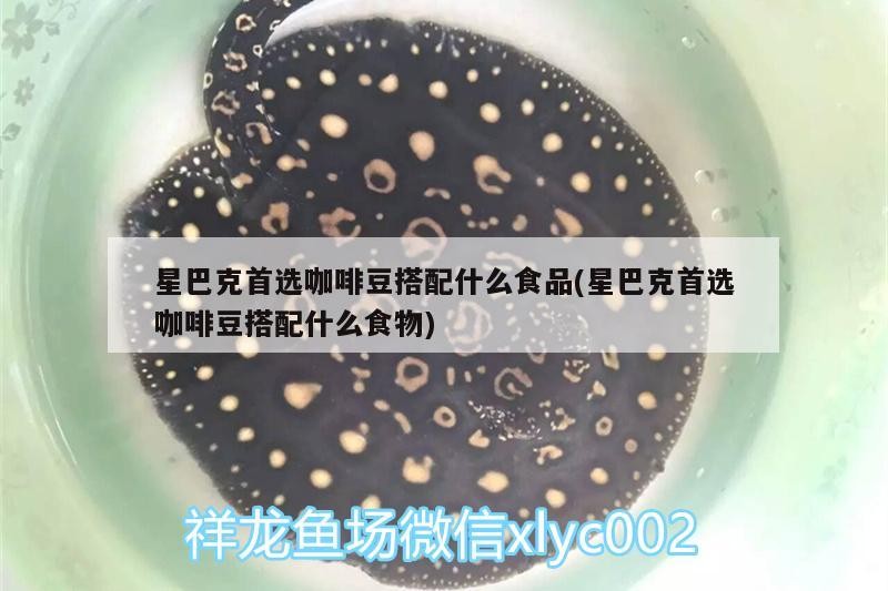 星巴克首選咖啡豆搭配什么食品(星巴克首選咖啡豆搭配什么食物) 星巴克首選咖啡豆搭配什么食品(星巴克首選咖啡豆搭配什么食物) 馬來西亞咖啡