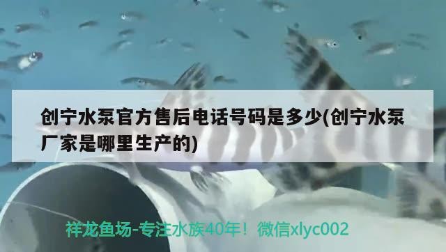 創寧水泵官方售后電話號碼是多少(創寧水泵廠家是哪里生產的) 創寧水泵官方售后電話號碼是多少(創寧水泵廠家是哪里生產的) 創寧水族