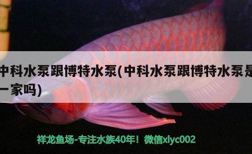 中科水泵跟博特水泵(中科水泵跟博特水泵是一家嗎)