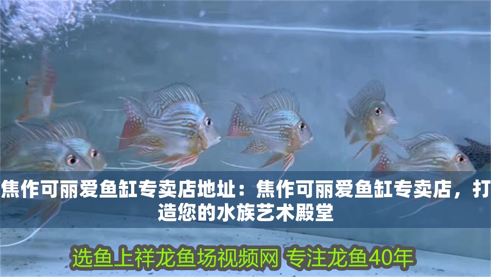 焦作可麗愛魚缸專賣店地址：焦作可麗愛魚缸專賣店，打造您的水族藝術殿堂 焦作可麗愛魚缸專賣店地址：焦作可麗愛魚缸專賣店，打造您的水族藝術殿堂 iwish愛唯希品牌魚缸 第1張