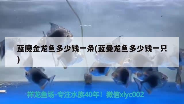 伊罕加熱棒一直工作：伊罕加熱棒工作指示燈 伊罕加熱棒一直工作：伊罕加熱棒工作指示燈 伊罕水族 第2張