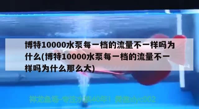 博特10000水泵每一檔的流量不一樣嗎為什么(博特10000水泵每一檔的流量不一樣嗎為什么那么大) 博特10000水泵每一檔的流量不一樣嗎為什么(博特10000水泵每一檔的流量不一樣嗎為什么那么大) 博特水族