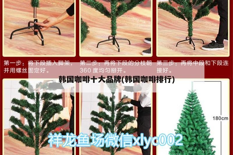 韓國咖啡十大品牌(韓國咖啡排行)