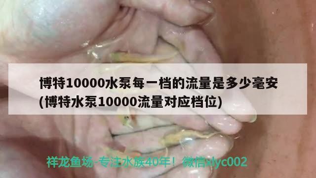 博特10000水泵每一檔的流量是多少毫安(博特水泵10000流量對應檔位)