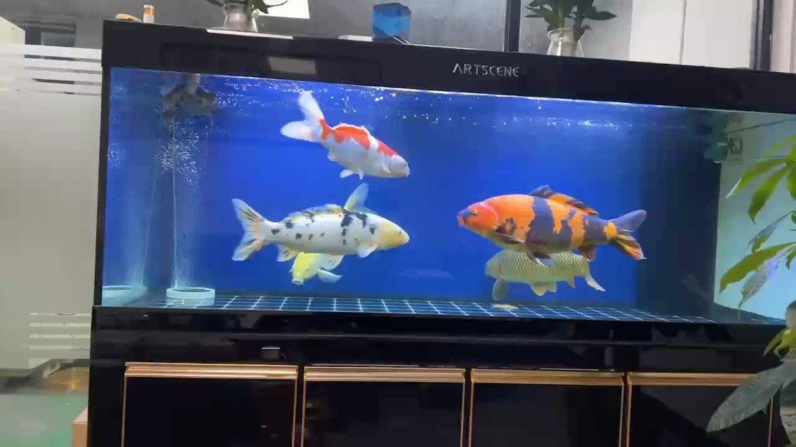 分享日常