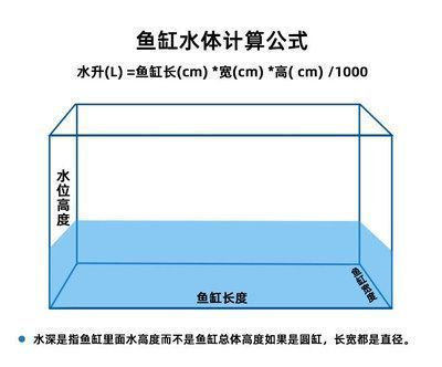 龍魚從2米高的地方掉下來vs祥龍魚場：龍魚從2米高處掉落后的存活情況取決于多種因素的影響