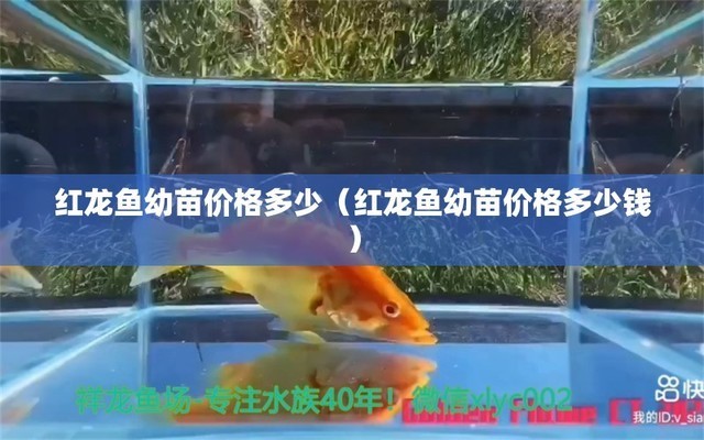 可麗愛魚缸1.5米價格表圖片（可麗愛魚缸1.5米價格表圖片大全）