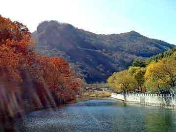 龍魚起白毛什么病vs祥龍魚場：祥龍魚場與龍魚起白毛病因及防治祥龍魚場評價如何