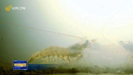 遵義可麗愛魚缸專賣店，打造水族愛好者的夢幻家園